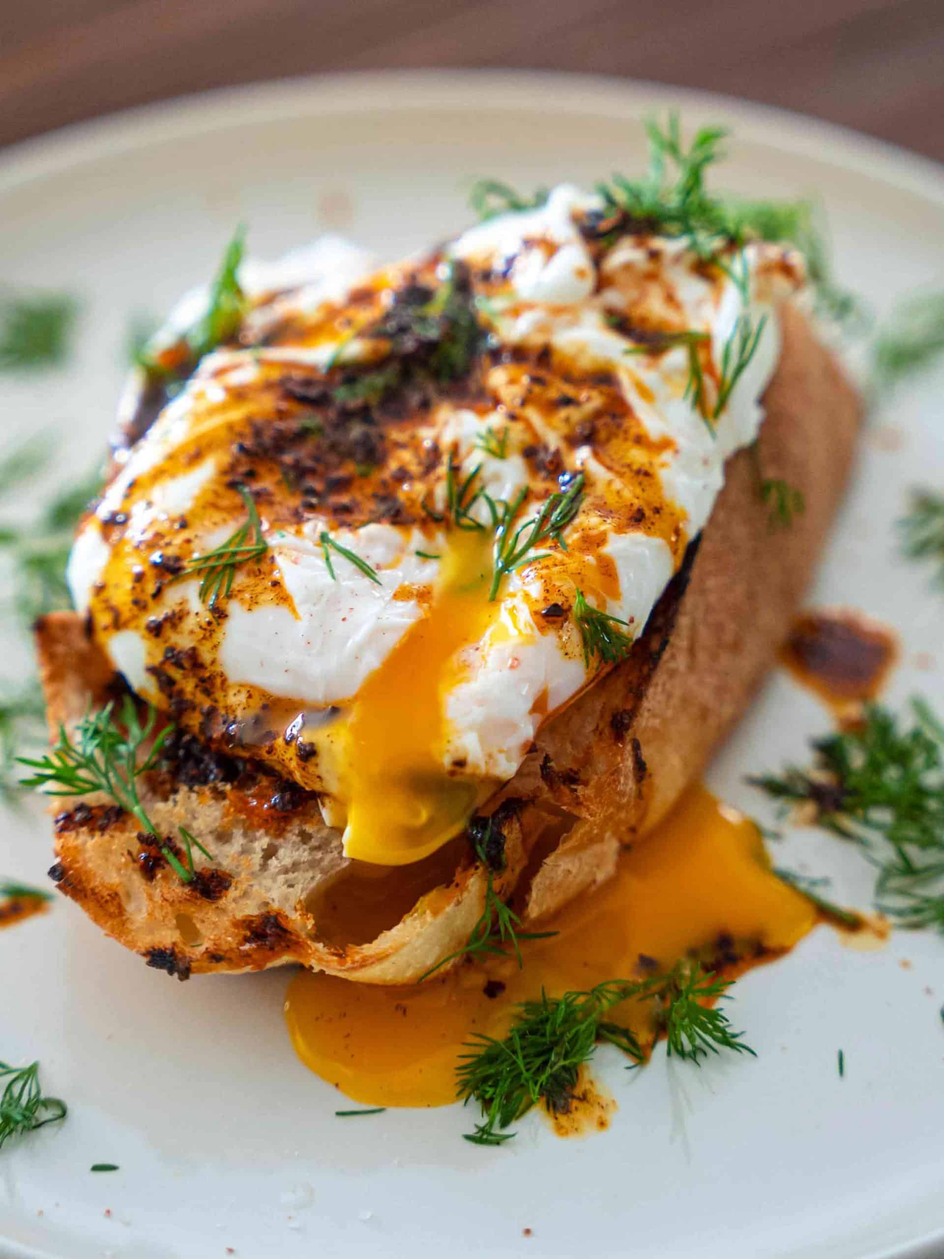 poached egg