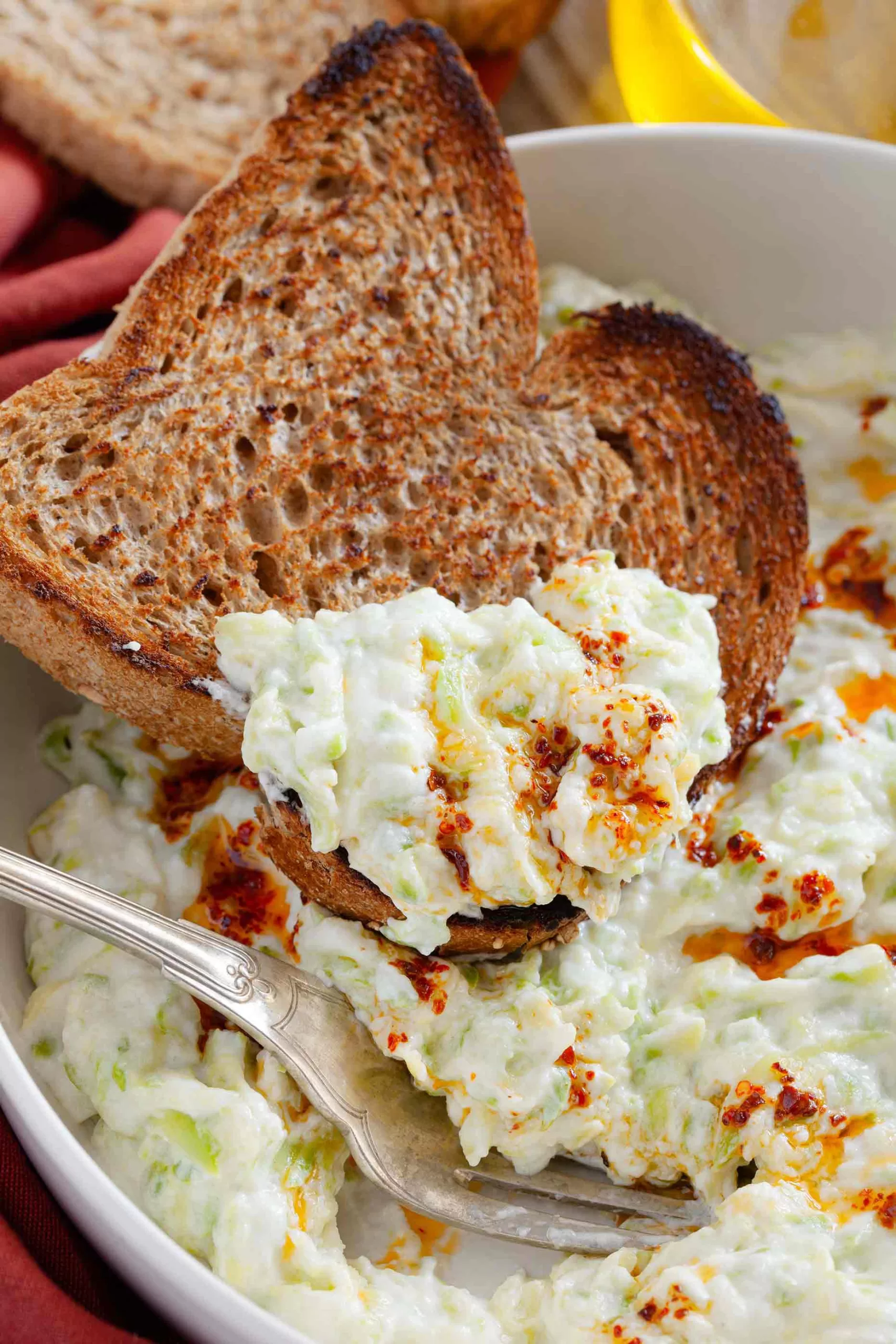 Zucchini Dip